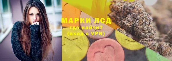 гидра Кулебаки