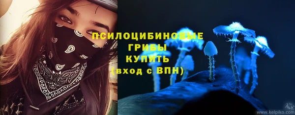 бошки Краснослободск