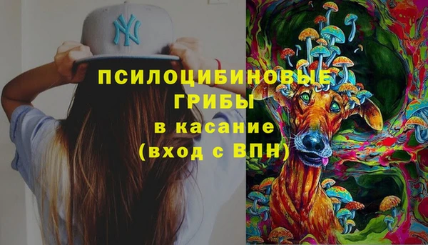 гидра Кулебаки