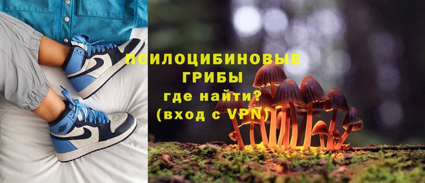гидра Кулебаки