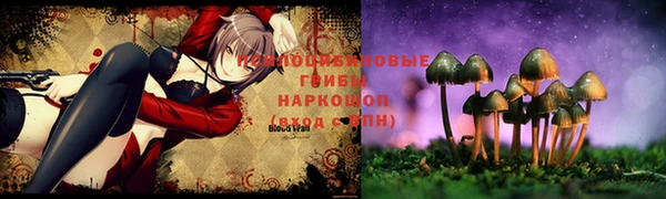 круглые Кукмор