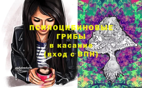 стаф Куровское