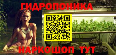 прущие крисы Канаш