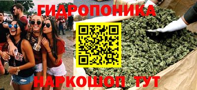 прущие крисы Канаш