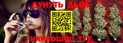 Альфа ПВП Апшеронск