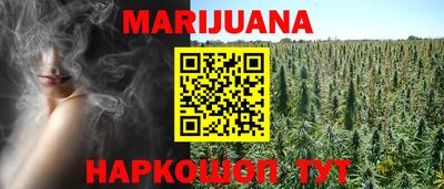 спиды Кингисепп