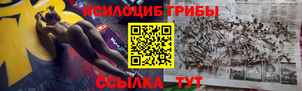 Псилоцибиновые грибы GOLDEN TEACHER  Вход с VPN  Мелеуз  дарнет шоп  Галлюциногенные грибы ЛСД 